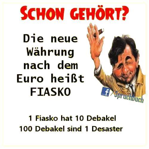 Euro_Fiasko