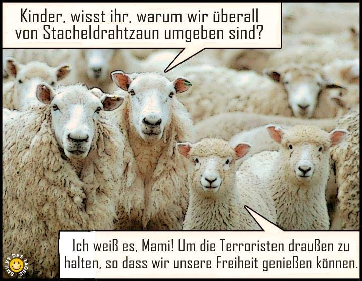 Schafe_Terror_Freiheit